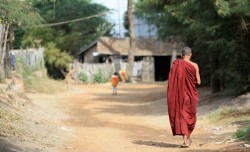 Tôi chọn làm Tỳ Kheo