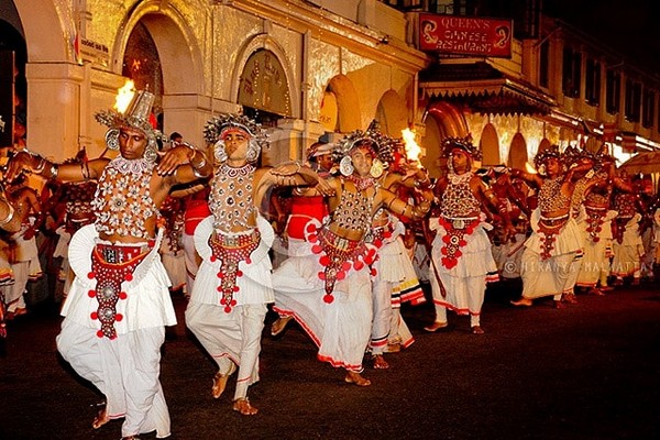 Sri Lanka: Lễ hội rước Xá lợi Răng Phật - Ảnh minh hoạ 3