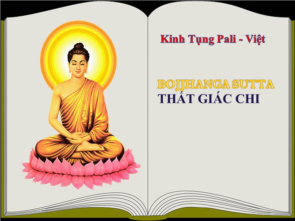 THẤT GIÁC CHI